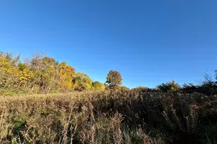 7151 W Blackjack Rd, Hanover, IL 61041 - Photo 36