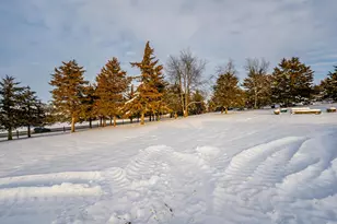 7965 N Adeline Rd, Leaf River, IL 61047 - Photo 52