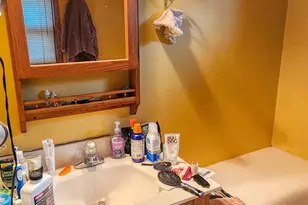 31-104 Kemper Ct, Lake Carroll, IL 61046 - Photo 16