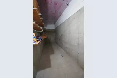 551 Mapes Drive, Stockton, IL 61085 - Photo 50