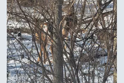 110 W Fork, Dixon, IL 61021 - Photo 6