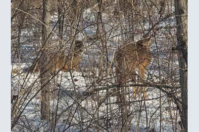 916 Missouri Drive, Dixon, IL 61021 - Photo 6