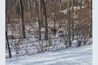 916 Missouri Drive, Dixon, IL 61021 - Photo 4