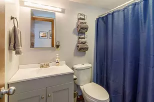 131 Plum Cove Dr, Galena, IL 61036 - Photo 18