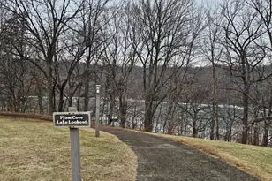 131 Plum Cove Dr, Galena, IL 61036 - Photo 44