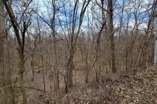 408 E 4th St, Spring Valley, IL 61362 - Photo 28