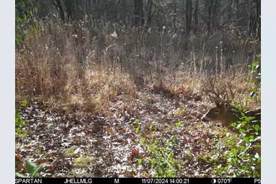 000 Messmer Road, Savanna, IL 61074 - Photo 72