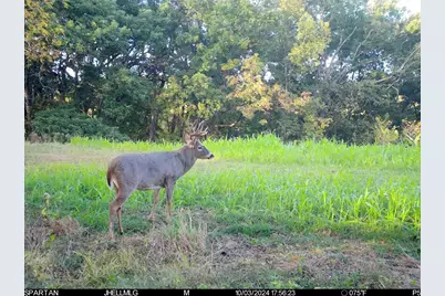 000 Messmer Road, Savanna, IL 61074 - Photo 66