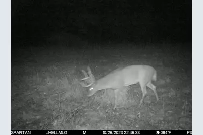 000 Messmer Road, Savanna, IL 61074 - Photo 78