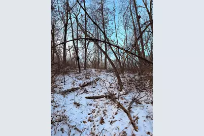 000 Messmer Road, Savanna, IL 61074 - Photo 52