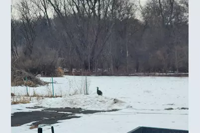 6858 Safford Road, Rockford, IL 61101 - Photo 4