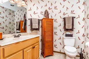 120 Walnut Hill Dr, Galena, IL 61036 - Photo 24