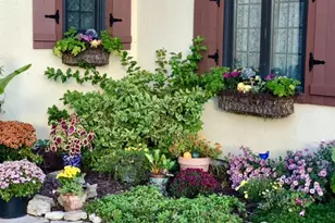 24 Butternut Ln, Galena, IL 61036 - Photo 4