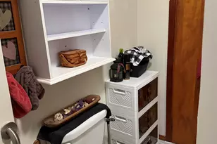 1114 6th Ave, Mendota, IL 61342 - Photo 14