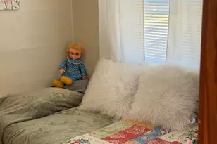 1114 6th Ave, Mendota, IL 61342 - Photo 30