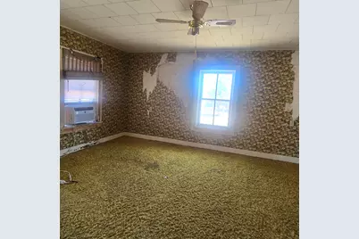 201 W 2nd Street, Leaf River, IL 61047 - Photo 8