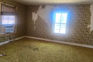 201 W 2nd St, Leaf River, IL 61047 - Photo 8