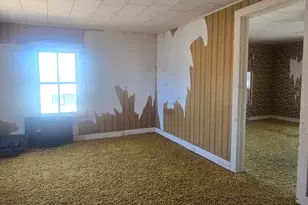 201 W 2nd St, Leaf River, IL 61047 - Photo 10