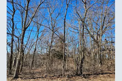 4722 W Longhollow Road, Galena, IL 61036 - Photo 8