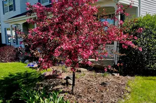 8712 Oakwood Glen Dr, Rockford, IL 61108 - Photo 58