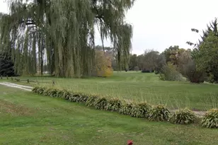 18280 Il Route 84, Savanna, IL 61074 - Photo 42