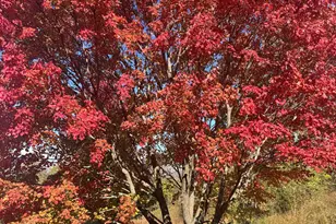 4989 N Ford Rd, Scales Mound, IL 61075 - Photo 50