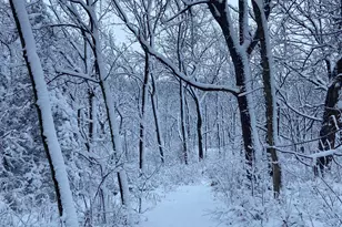 4989 N Ford Rd, Scales Mound, IL 61075 - Photo 54