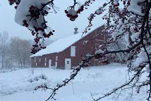 4989 N Ford Rd, Scales Mound, IL 61075 - Photo 56