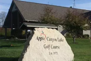 11A65 Fairway Dr, Apple Canyon Lake, IL 61001 - Photo 4