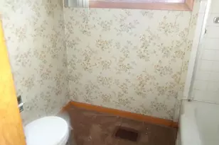 321 Meltzer St, Walnut, IL 61376 - Photo 4