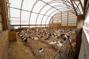 3651 N Brookeville Rd, Forreston, IL 61030 - Photo 34