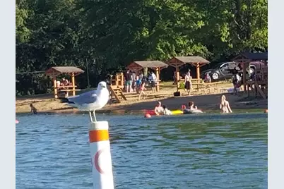 1551 Pier Drive, Davis, IL 61019 - Photo 6