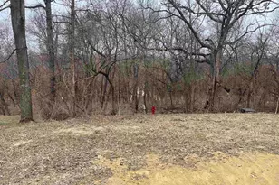 9A36 Pine Ct, Apple Canyon Lake, IL 61001 - Photo 1