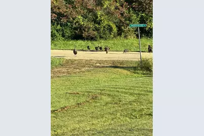 30-45 Brookside Drive, Lake Carroll, IL 61046 - Photo 38