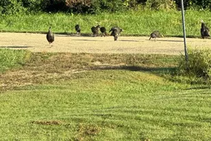 30-45 Brookside Dr, Lake Carroll, IL 61046 - Photo 38