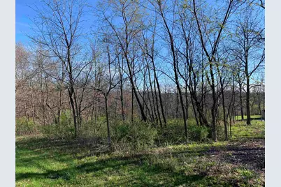 13 Hickory Trail, Galena, IL 61036 - Photo 1