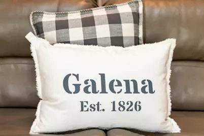 26 Poplar Rdige Dr, Galena, IL 61036 - Photo 14