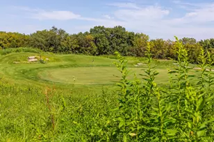 26 Poplar Rdige Dr, Galena, IL 61036 - Photo 52