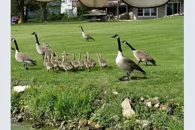 1306 Chadbourne Drive, Davis, IL 61019 - Photo 8