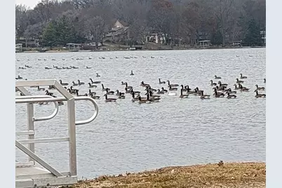 1306 Chadbourne Drive, Davis, IL 61019 - Photo 46