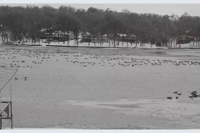 1306 Chadbourne Drive, Davis, IL 61019 - Photo 32