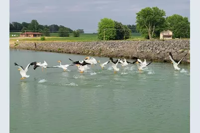 1306 Chadbourne Drive, Davis, IL 61019 - Photo 56