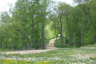 6163 S Blanding Rd, Hanover, IL 61041 - Photo 62