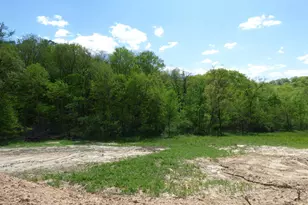 6163 S Blanding Rd, Hanover, IL 61041 - Photo 50