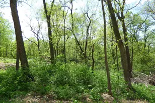 6163 S Blanding Rd, Hanover, IL 61041 - Photo 70