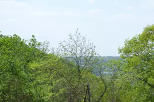 6163 S Blanding Rd, Hanover, IL 61041 - Photo 72