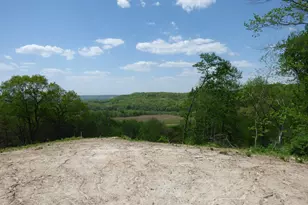 6163 S Blanding Rd, Hanover, IL 61041 - Photo 54