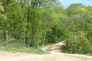 6163 S Blanding Rd, Hanover, IL 61041 - Photo 56