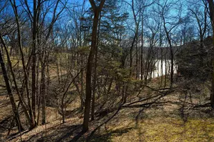 42 Shorewood Dr, Galena, IL 61036 - Photo 14