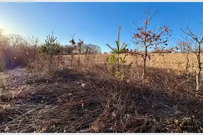 Tbd Scenic Ridge Road, Savanna, IL 61074 - Photo 26